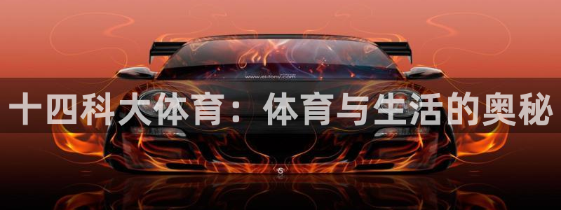 十四科大体育：体育与生活的奥秘