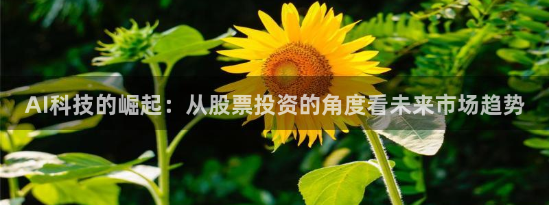 AI科技的崛起：从股票投资的角度看未来市场趋势