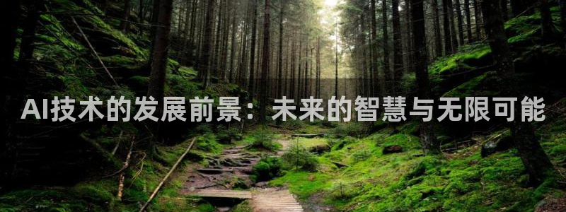 AI技术的发展前景：未来的智慧与无限可能