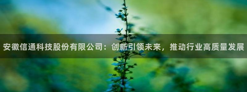 安徽信通科技股份有限公司：创新引领未来，推动行业高质量发展