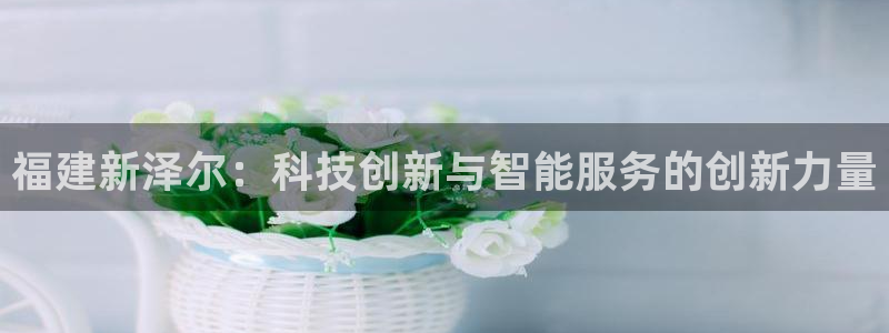 福建新泽尔：科技创新与智能服务的创新力量
