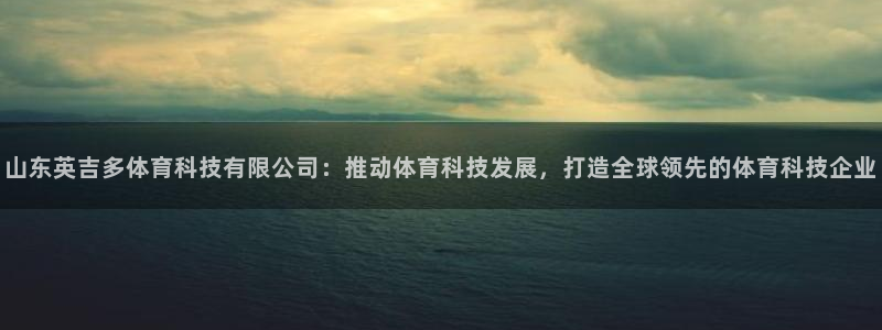 山东英吉多体育科技有限公司：推动体育科技发展，打造全球领先的体育科技企业