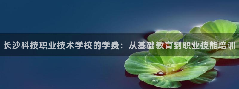 长沙科技职业技术学校的学费：从基础教育到职业技能培训