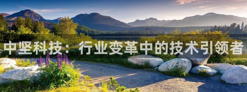 中坚科技：行业变革中的技术引领者
