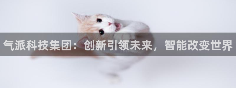 气派科技集团：创新引领未来，智能改变世界