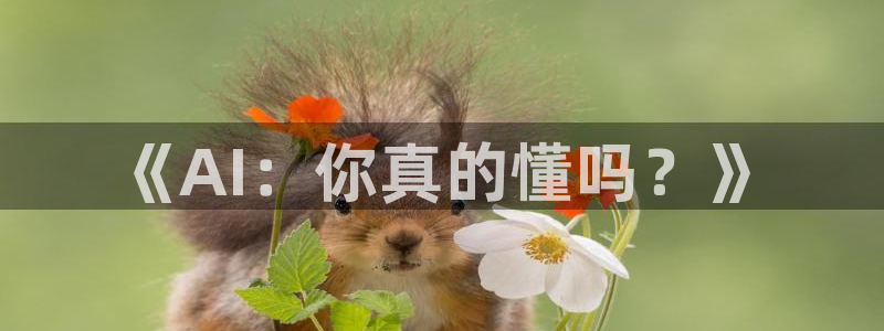 《AI：你真的懂吗？》