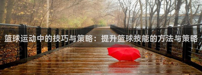 篮球运动中的技巧与策略：提升篮球技能的方法与策略