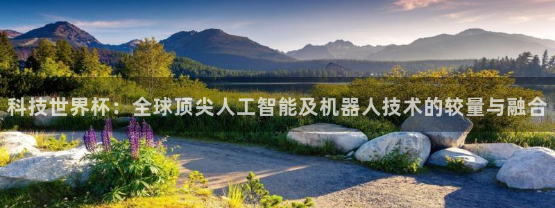 科技世界杯：全球顶尖人工智能及机器人技术的较量与融合