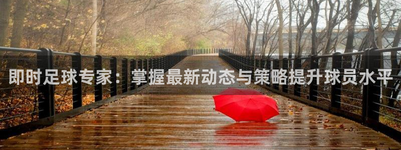 即时足球专家：掌握最新动态与策略提升球员水平