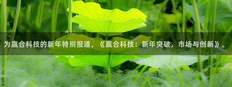 为赢合科技的新年特别报道，《赢合科技：新年突破，市场与创新》。