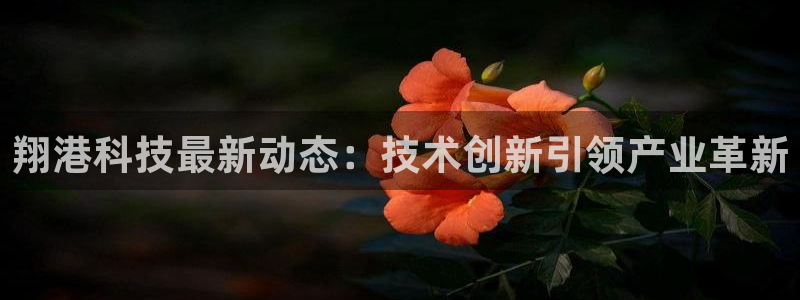翔港科技最新动态：技术创新引领产业革新