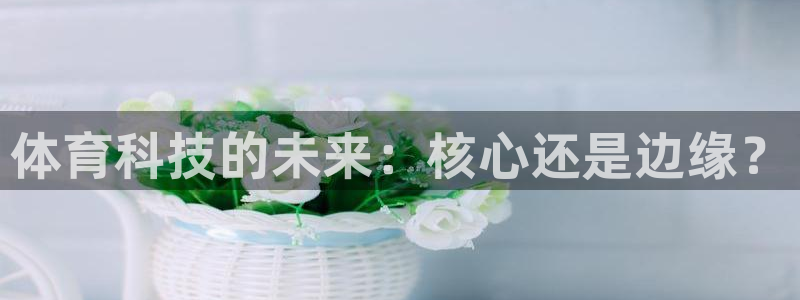 体育科技的未来：核心还是边缘？
