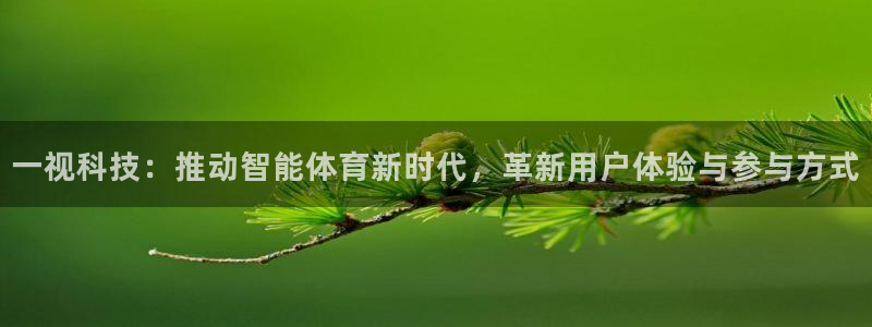 一视科技：推动智能体育新时代，革新用户体验与参与方式