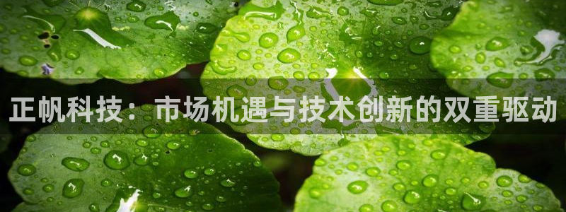 正帆科技：市场机遇与技术创新的双重驱动