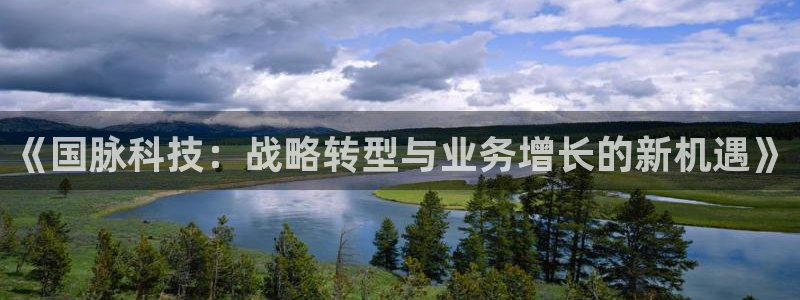《国脉科技：战略转型与业务增长的新机遇》