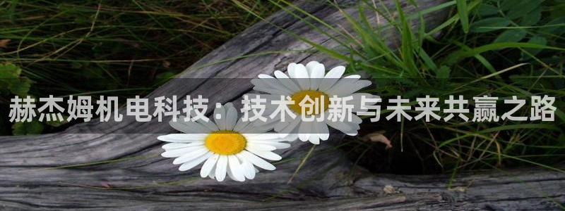 赫杰姆机电科技：技术创新与未来共赢之路