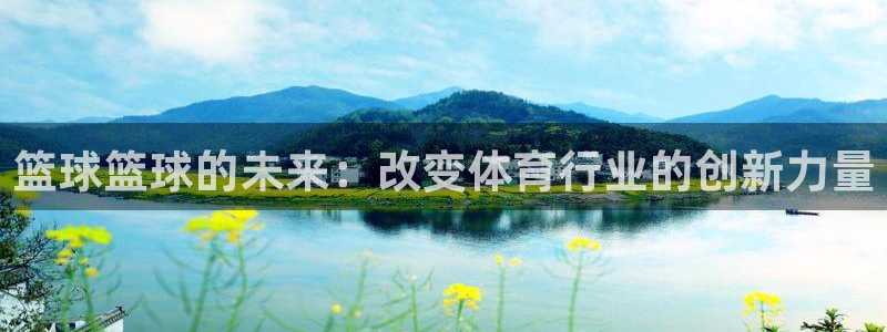篮球篮球的未来：改变体育行业的创新力量