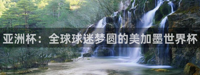 亚洲杯：全球球迷梦圆的美加墨世界杯