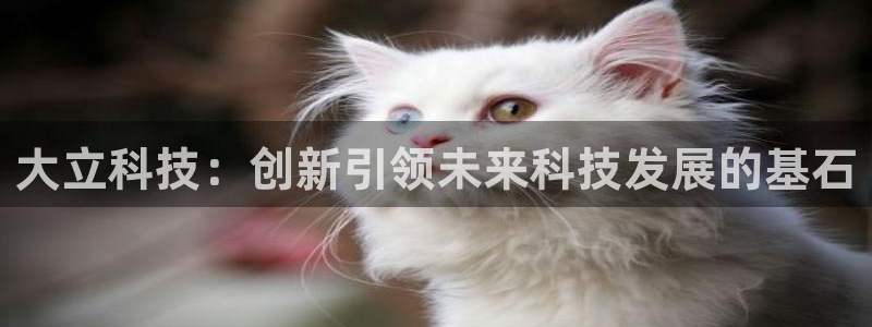 大立科技：创新引领未来科技发展的基石