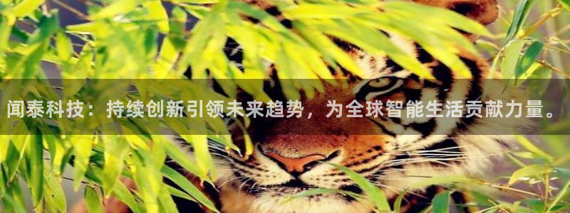 闻泰科技：持续创新引领未来趋势，为全球智能生活贡献力量。