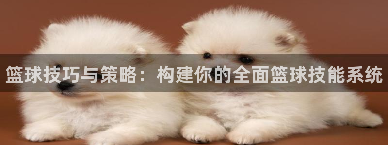 篮球技巧与策略：构建你的全面篮球技能系统