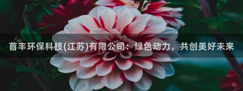 首丰环保科技(江苏)有限公司：绿色动力，共创美好未来