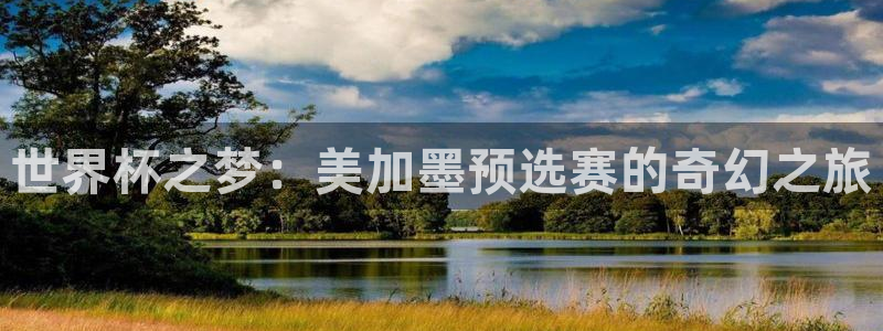 世界杯之梦：美加墨预选赛的奇幻之旅
