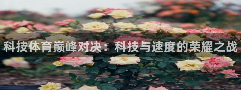 科技体育巅峰对决：科技与速度的荣耀之战