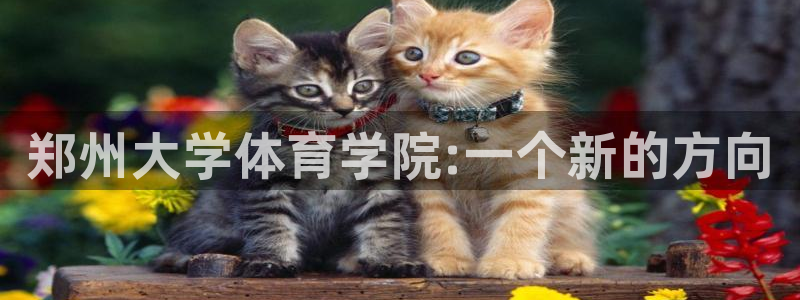 郑州大学体育学院:一个新的方向