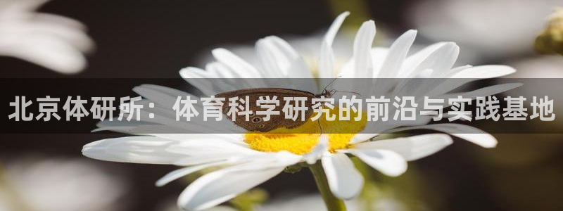 北京体研所：体育科学研究的前沿与实践基地