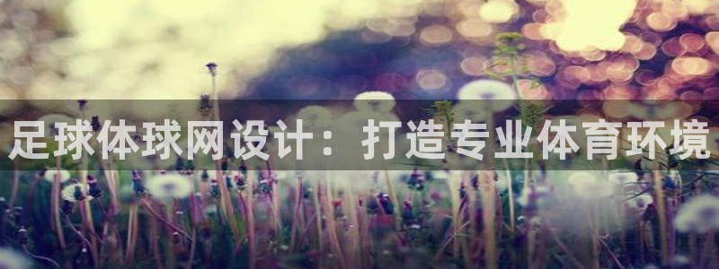 足球体球网设计：打造专业体育环境