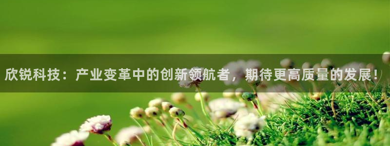 欣锐科技：产业变革中的创新领航者，期待更高质量的发展！