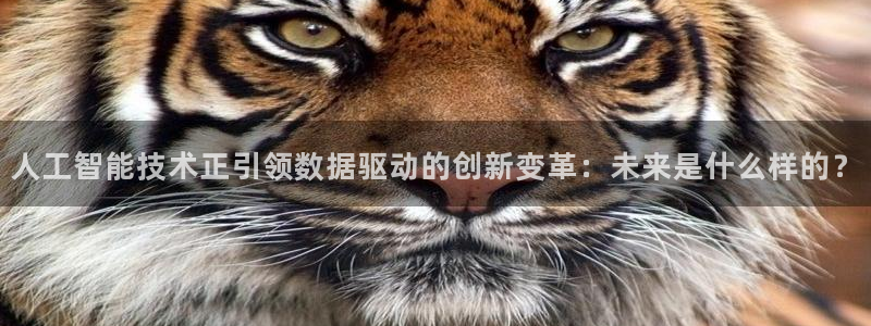 人工智能技术正引领数据驱动的创新变革：未来是什么样的？