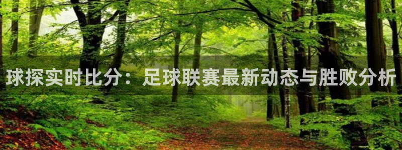 球探实时比分：足球联赛最新动态与胜败分析