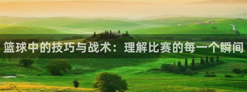 篮球中的技巧与战术：理解比赛的每一个瞬间
