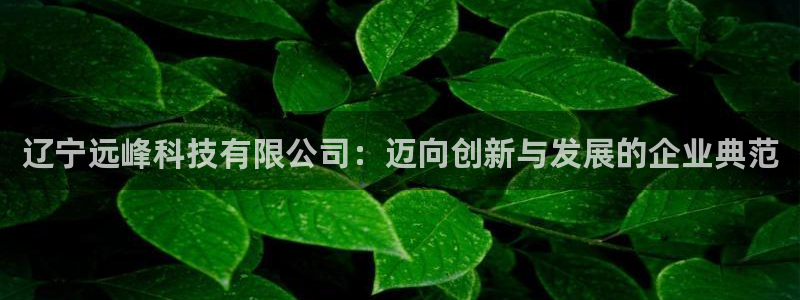 辽宁远峰科技有限公司：迈向创新与发展的企业典范