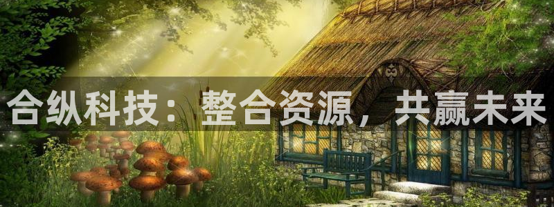 合纵科技：整合资源，共赢未来