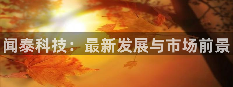 闻泰科技：最新发展与市场前景