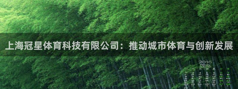 上海冠星体育科技有限公司：推动城市体育与创新发展